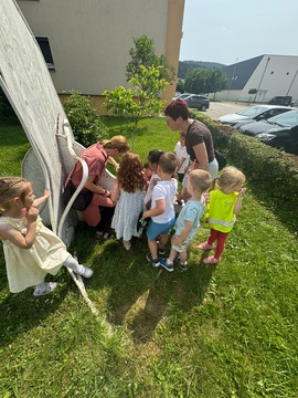 ''Kip je Forma viva''